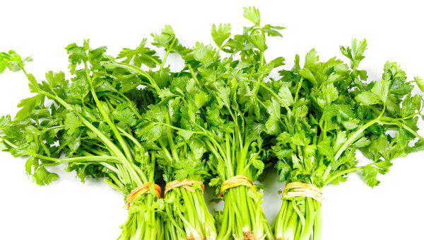 芹菜需要焯水吗