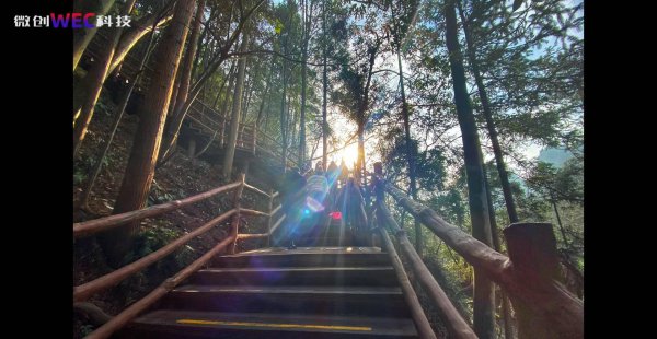 苹果xr和苹果11哪个值得买