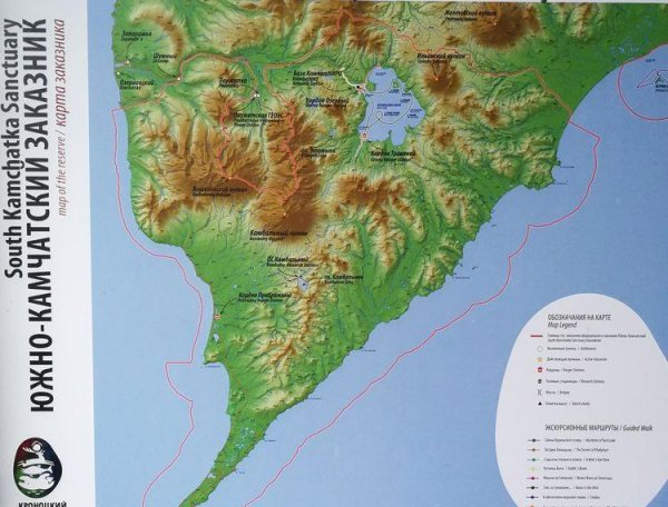 世界上火山最集中的地方在哪里