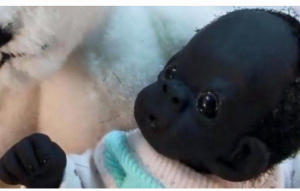 世界上最黑的是谁