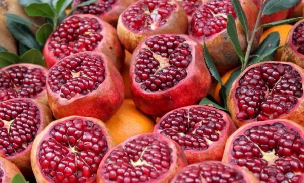 石榴产地哪里的最好