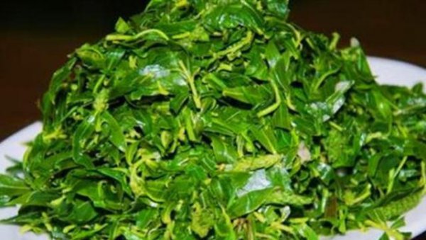 柳树上的嫩芽能吃吗