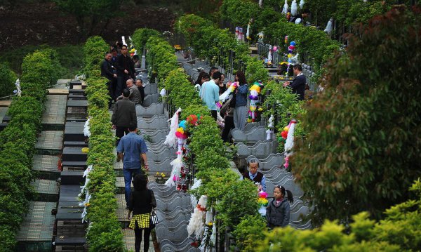 上坟供品能带回家吃么