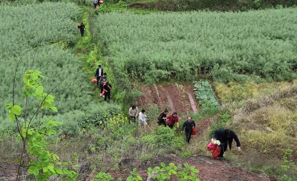 上坟供品能带回家吃么