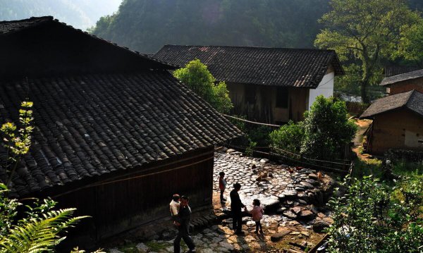 上坟供品能带回家吃么