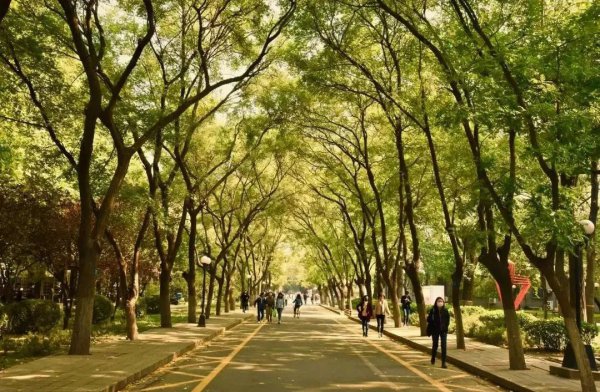 北京工业大学是211还是985