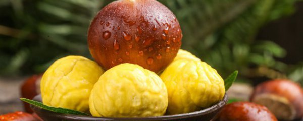 板栗怎样挑选好吃