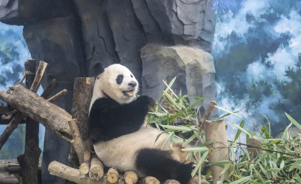 成都市区景点排名前十