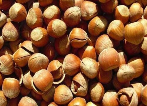 榛子好吃吗 什么味道口感