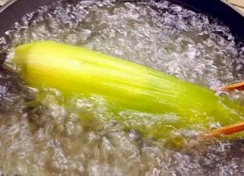 新鲜玉米怎么保存时间长一点