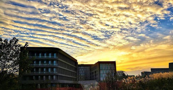 贵州大学是985还是211