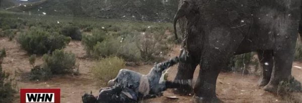 十部巅峰喜剧电影盘点