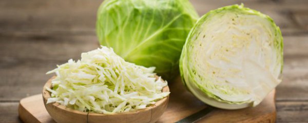 包菜的热量是多少