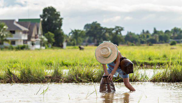 线性思维是什么意思