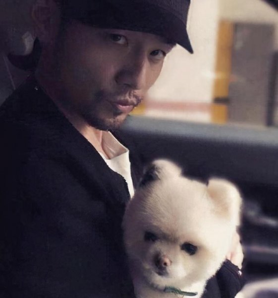 博美认主人的标准有哪些