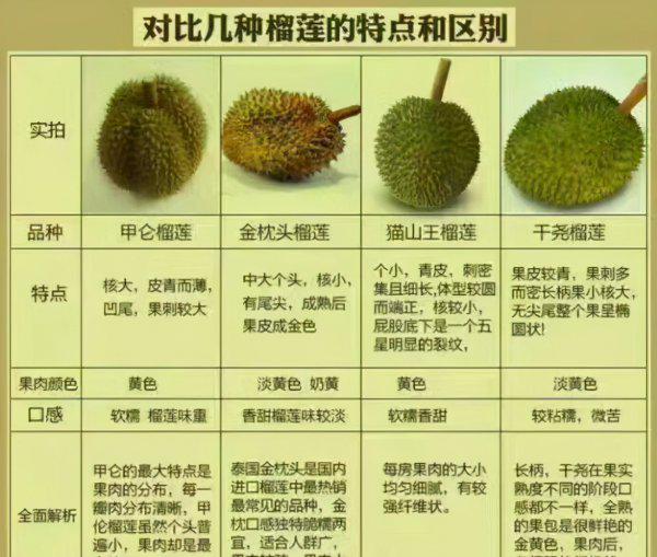 泰国甲伦榴莲介绍及图片