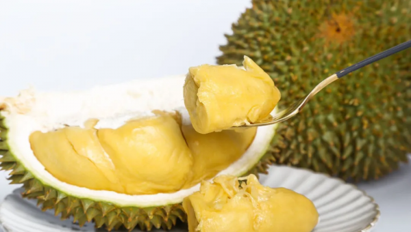 泰国甲伦榴莲介绍及图片