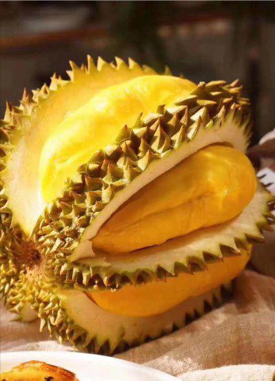 泰国甲伦榴莲介绍及图片
