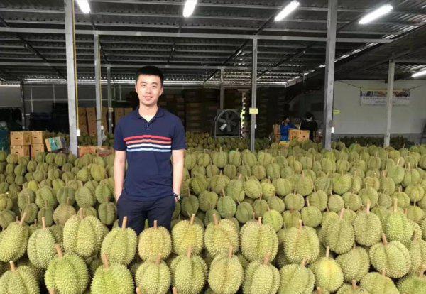 泰国甲伦榴莲介绍及图片