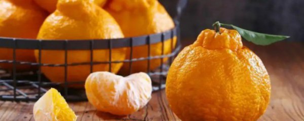 粑粑柑如何挑选技巧