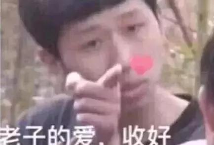 比亚迪电池终身质保是什么意思