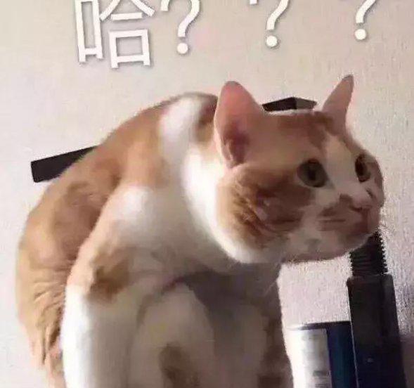 比亚迪电池终身质保是什么意思