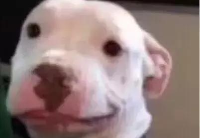 比亚迪电池终身质保是什么意思