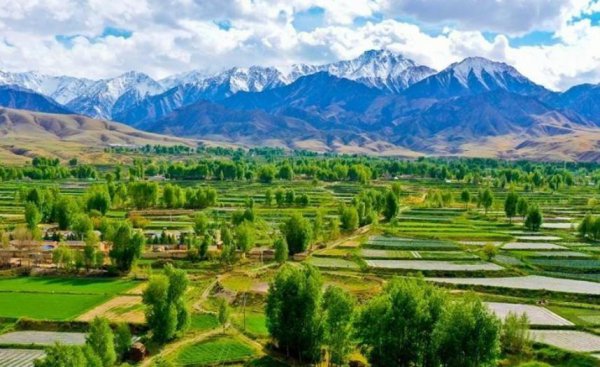 祁连山在哪里属于哪个省