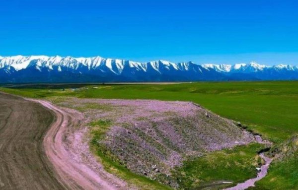 祁连山在哪里属于哪个省