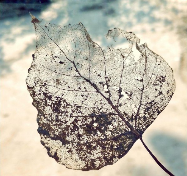 男人问你忙什么呢幽默回复