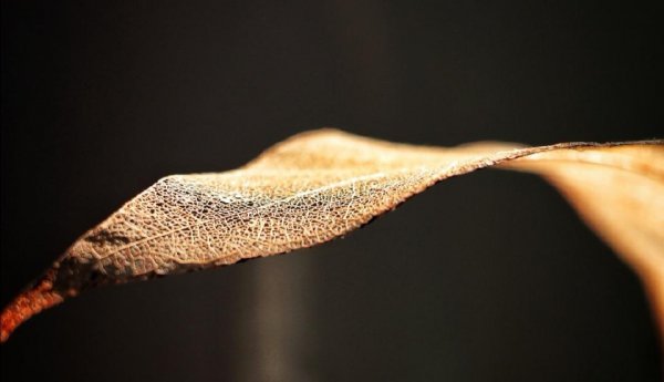 男人问你忙什么呢幽默回复