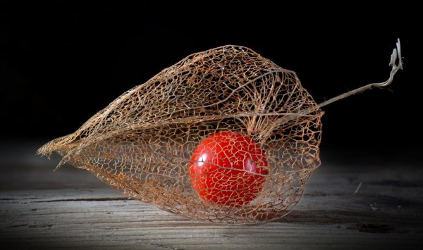 男人问你忙什么呢幽默回复