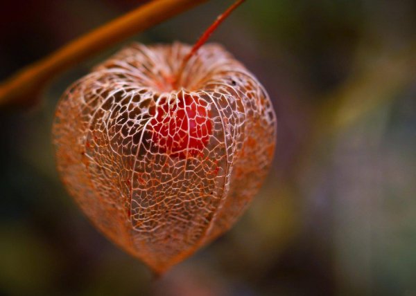 男人问你忙什么呢幽默回复