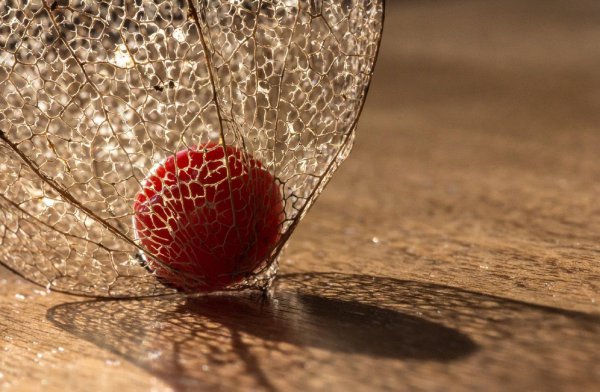 男人问你忙什么呢幽默回复