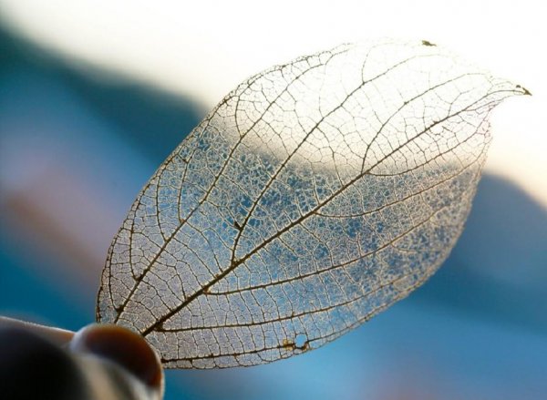 男人问你忙什么呢幽默回复