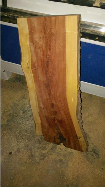 雷击木的功效与作用