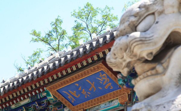 高考选科3+1+2组合分析