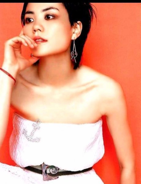 王菲比谢霆锋大多少