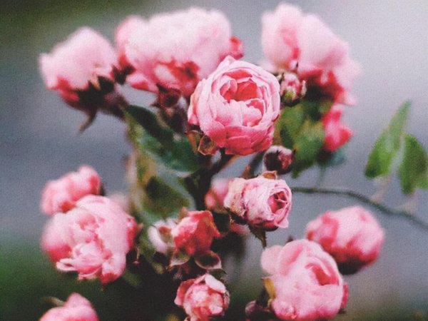 摩羯座的爱情是怎样的