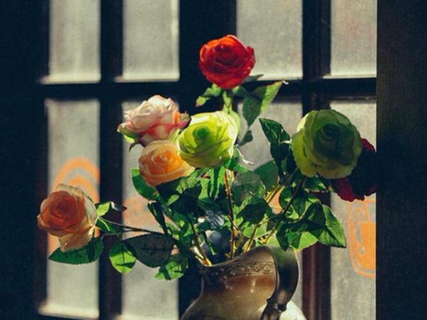 摩羯座的爱情是怎样的