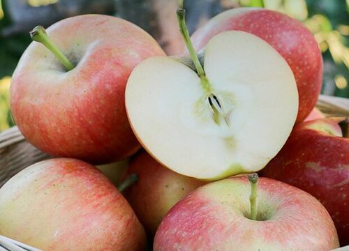 苹果一般买几个吉利