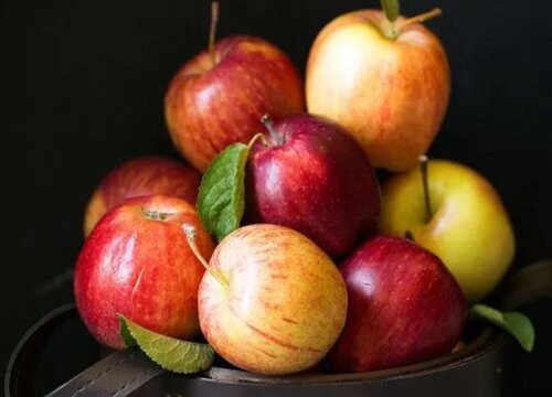 苹果一般买几个吉利