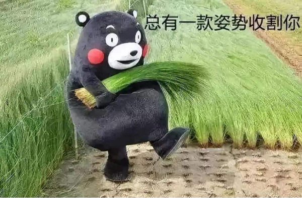 网络用语被割韭菜是什么意思