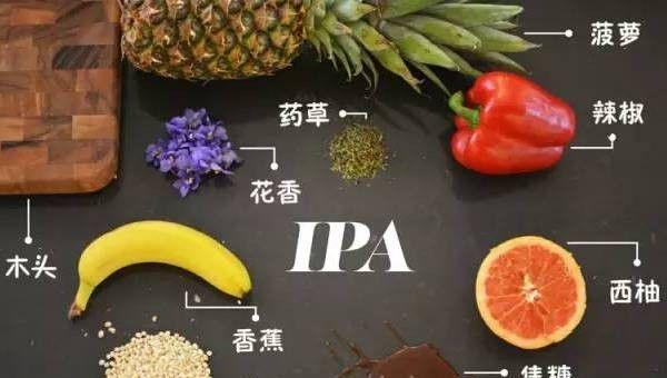 ipa啤酒什么意思