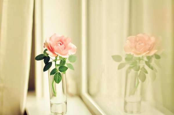 择偶标准是什么意思