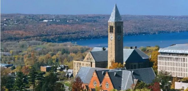 商科包括哪些专业