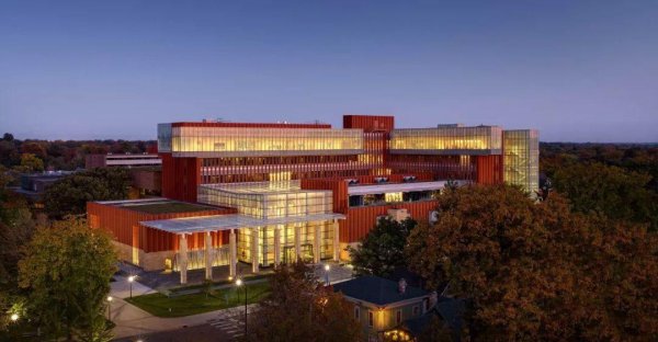 商科包括哪些专业