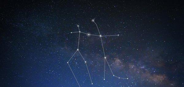 十个双子女九个渣