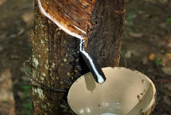 泰国面积相当于中国哪个省份