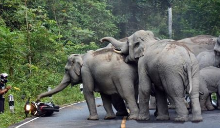 泰国面积相当于中国哪个省份